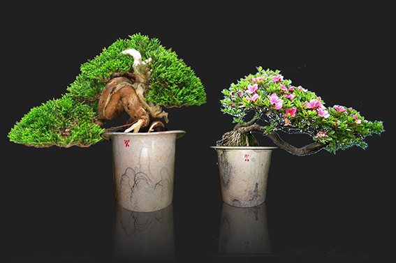 1617244518105767.jpg 8.jpg